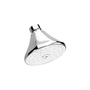 REGADERA HELVEX H-100 CROMO